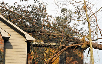 emergency roof repair Chapelton