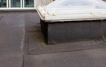 disadvantages of Chapelton flat roofs