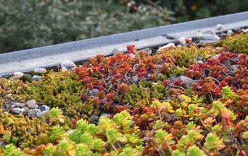 the cost of Chapelton green roof installation