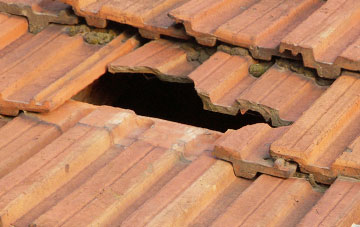 roof repair Chapelton
